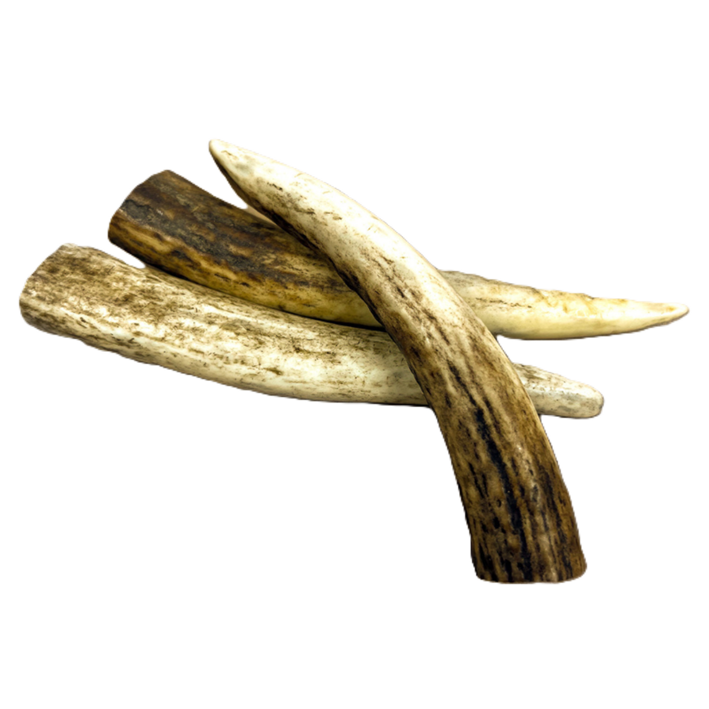 Highland Antler - Deer Antlers