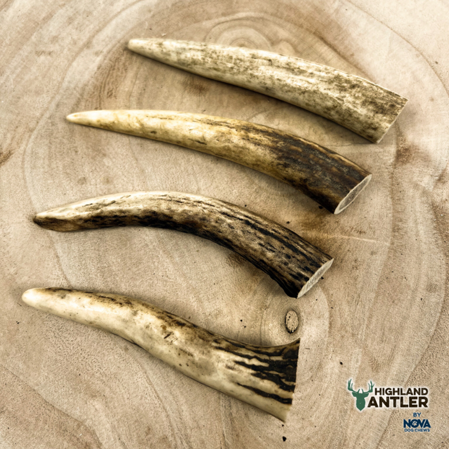 Highland Antler - Deer Antlers