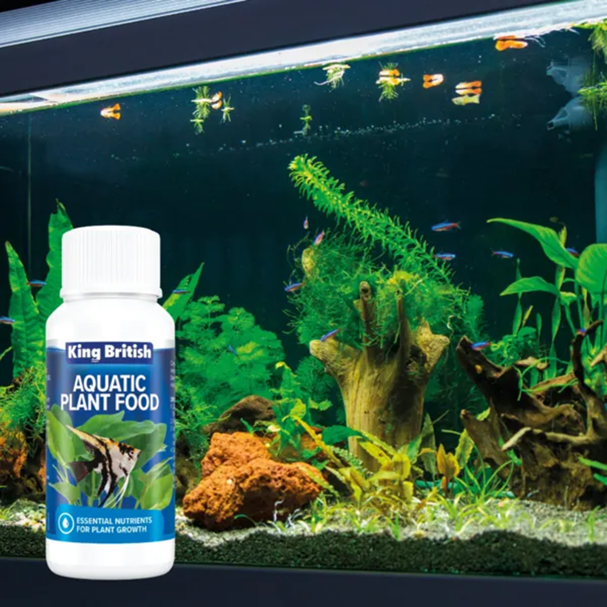 King British - Aquatic Plant Food (100ml)