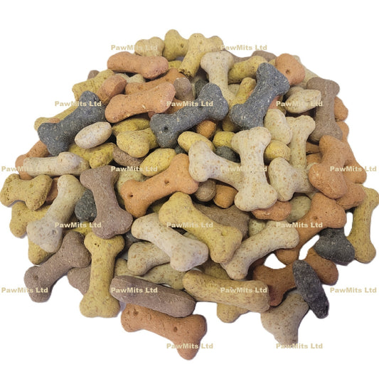 Pointer - Assorted Mini Bones