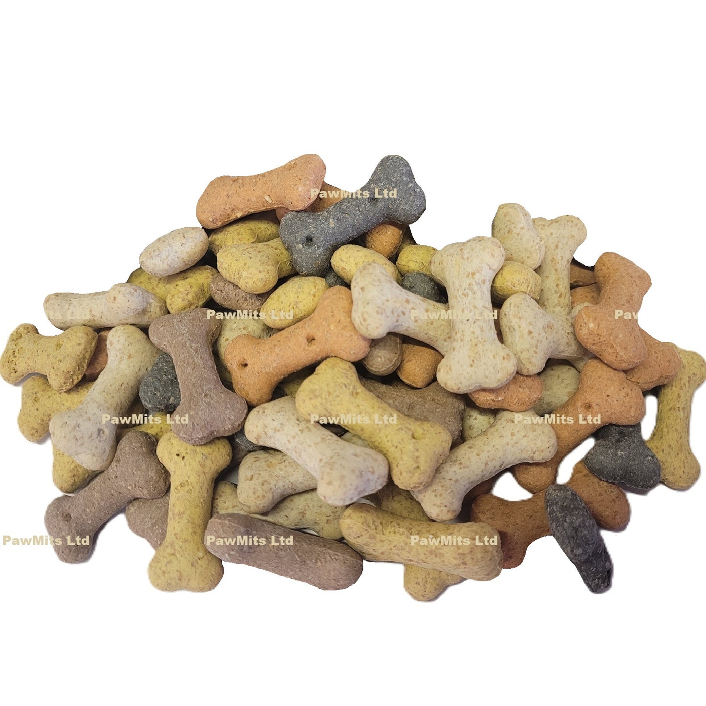 Pointer - Assorted Mini Bones