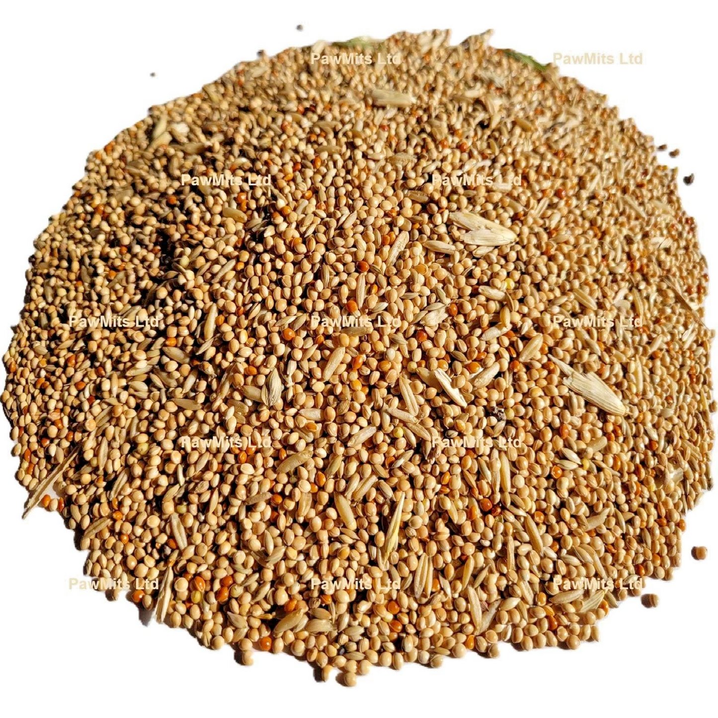 Budgie Seed