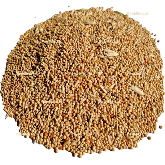 Budgie Seed