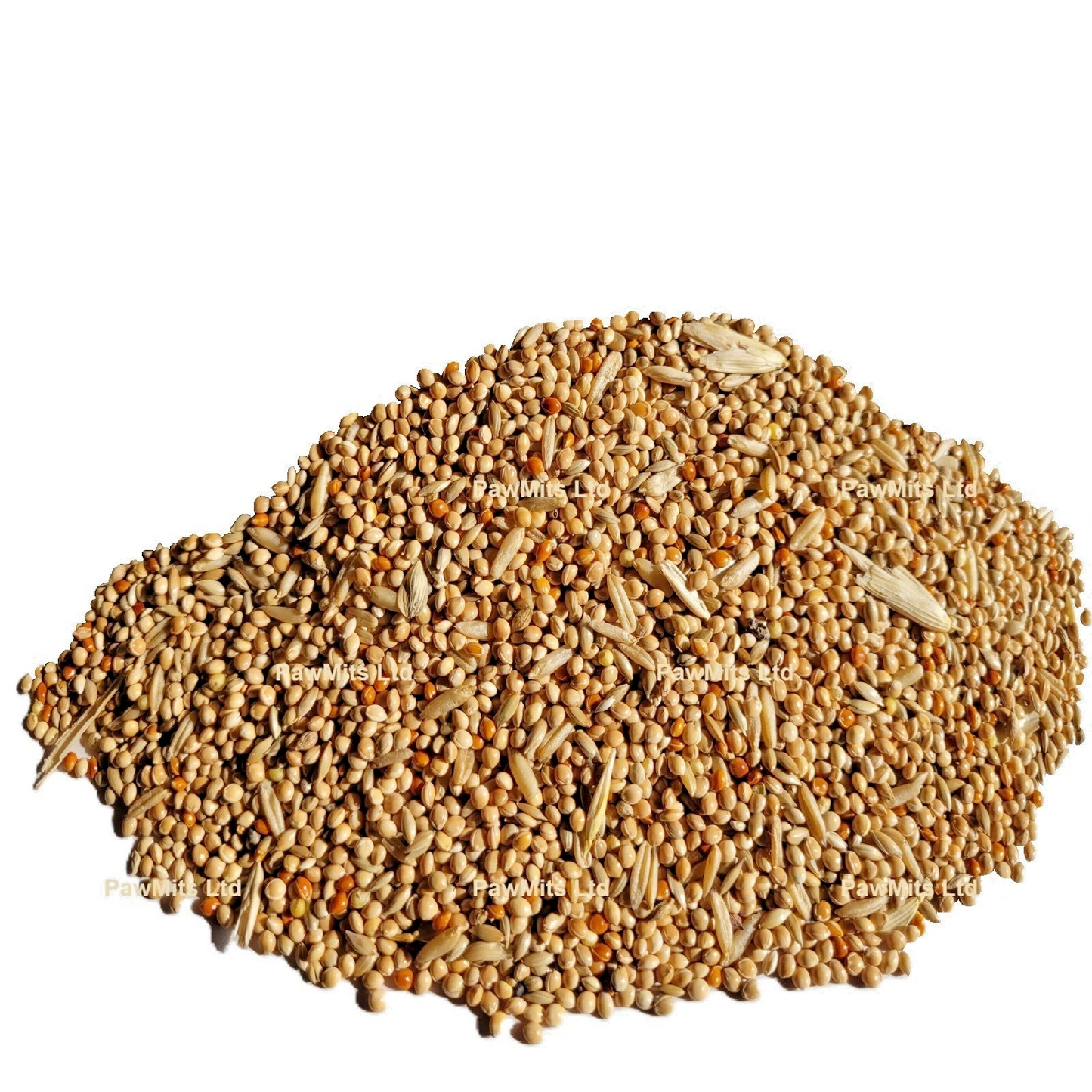 Budgie Seed