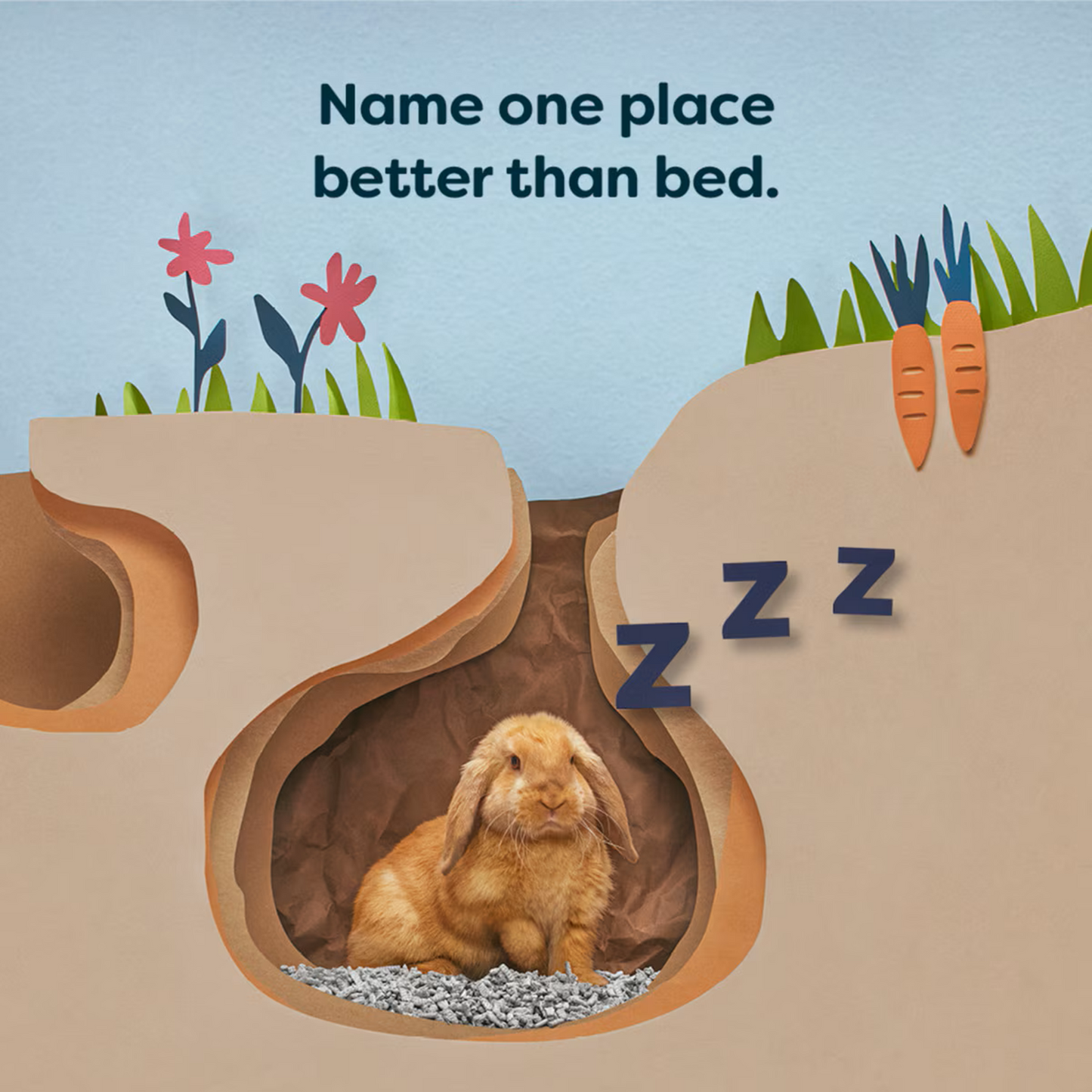Back 2 Nature - Animal Bedding and Litter