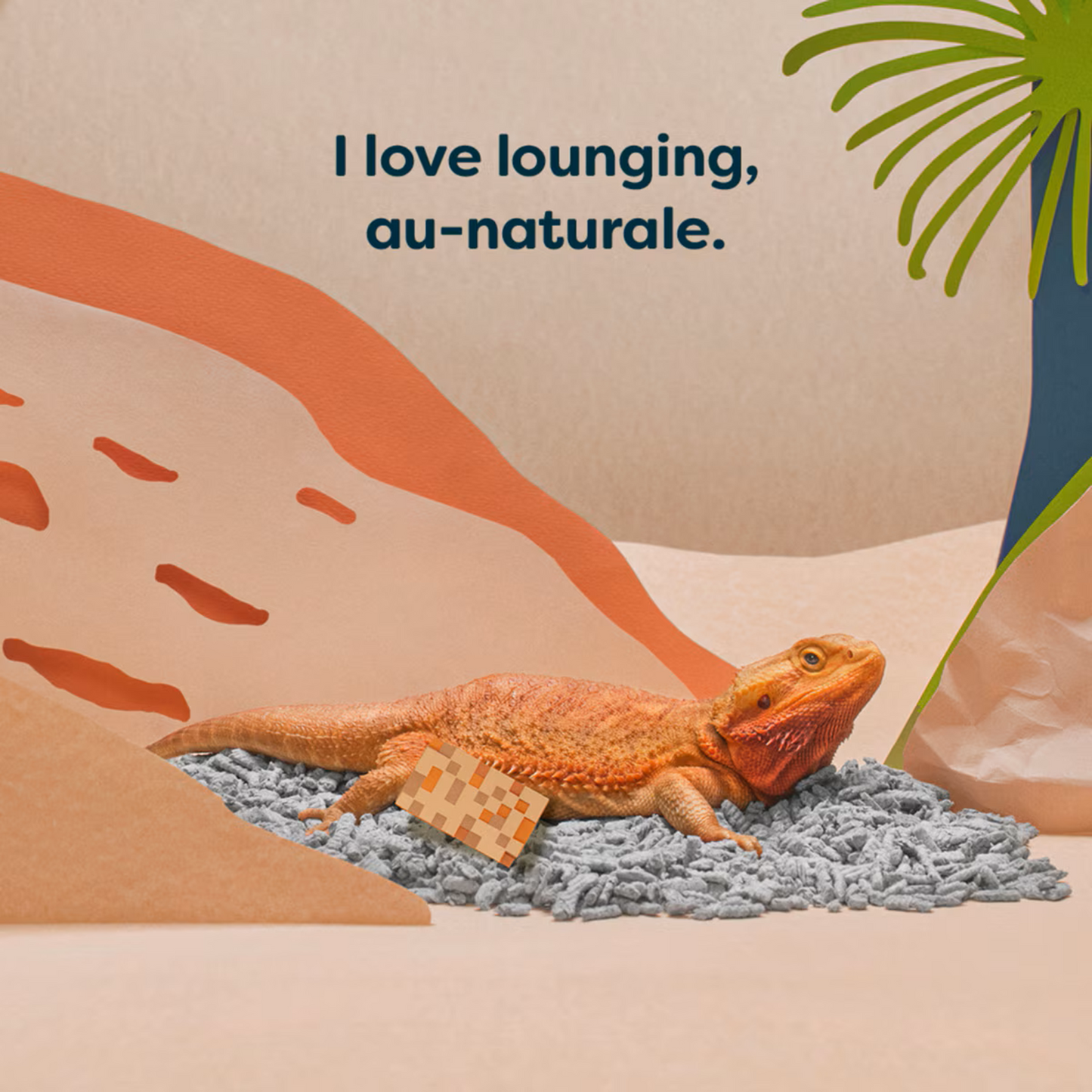 Back 2 Nature - Animal Bedding and Litter