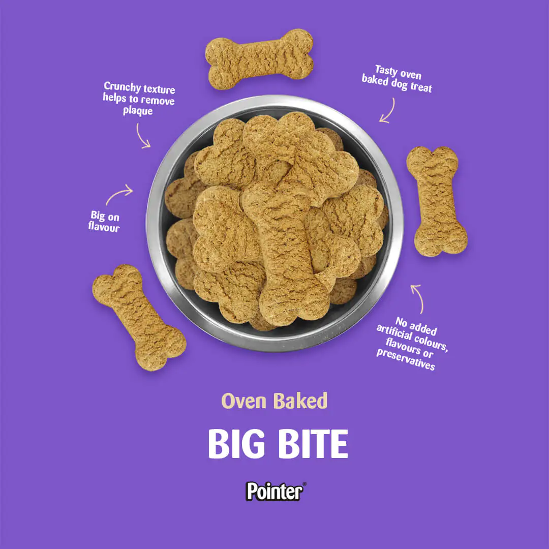 Pointer - Big Bite with Beef (100g)