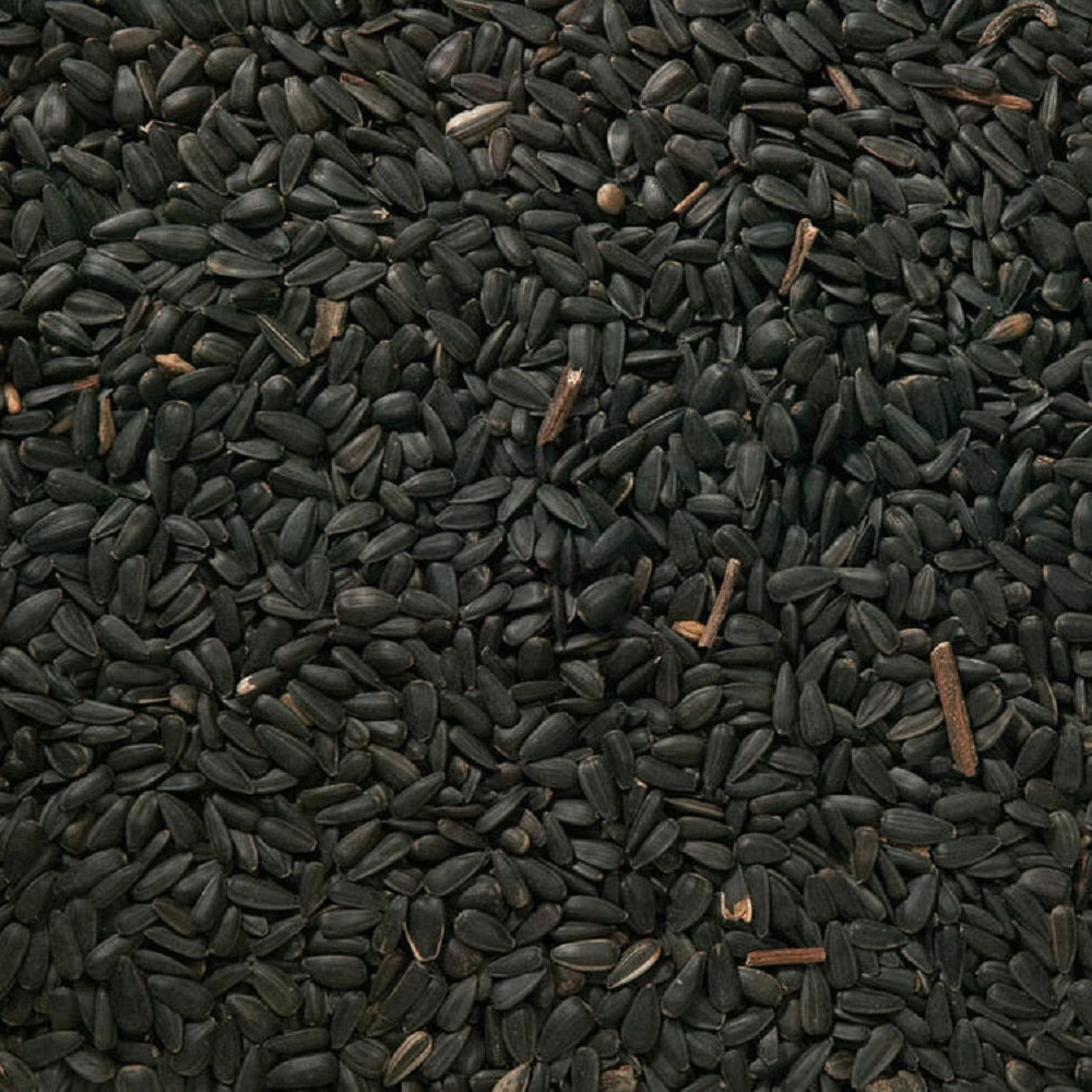 Johnston & Jeff - Black Oil Sunflower Seeds (12.75kg)