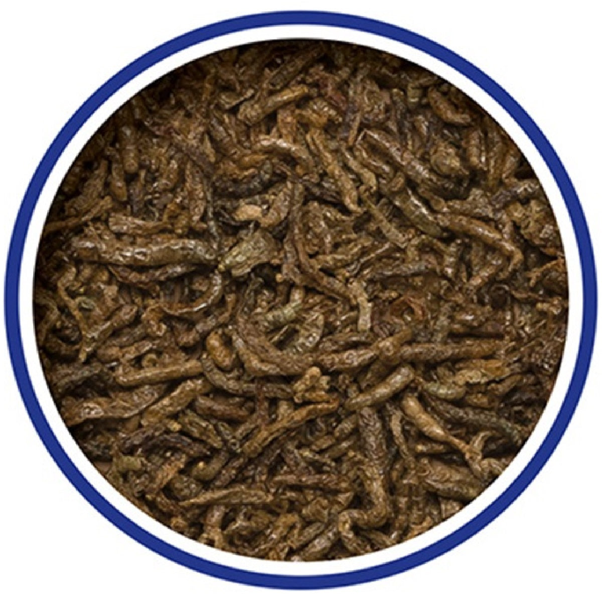 King British - Bloodworm Treats (7g)