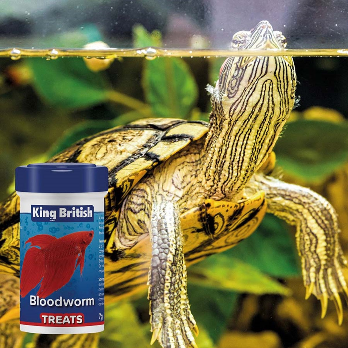 King British - Bloodworm Treats (7g)