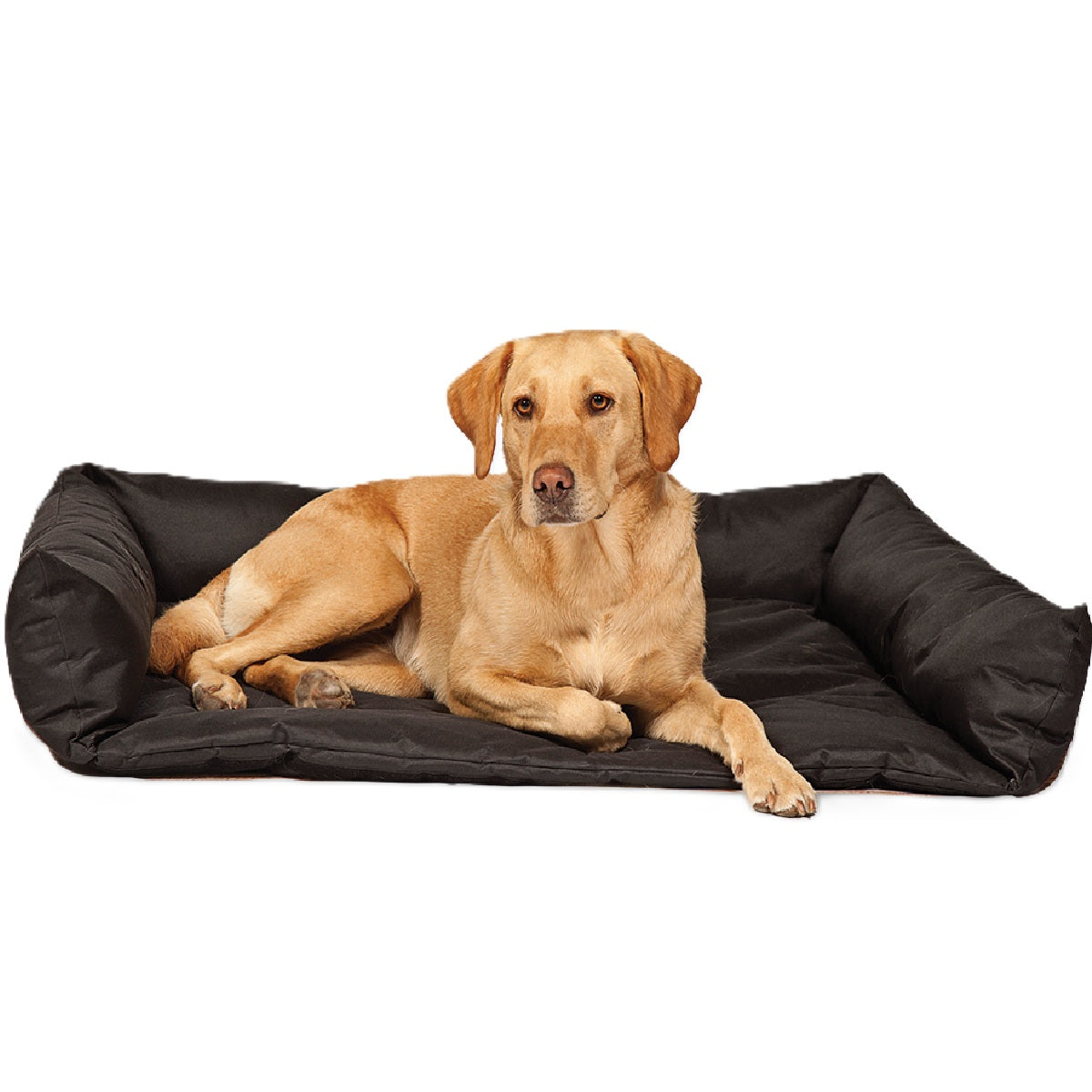 Danish Design - Boot Bed