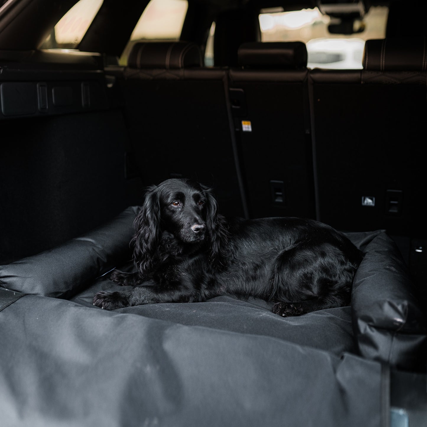 Danish Design - Boot Bed