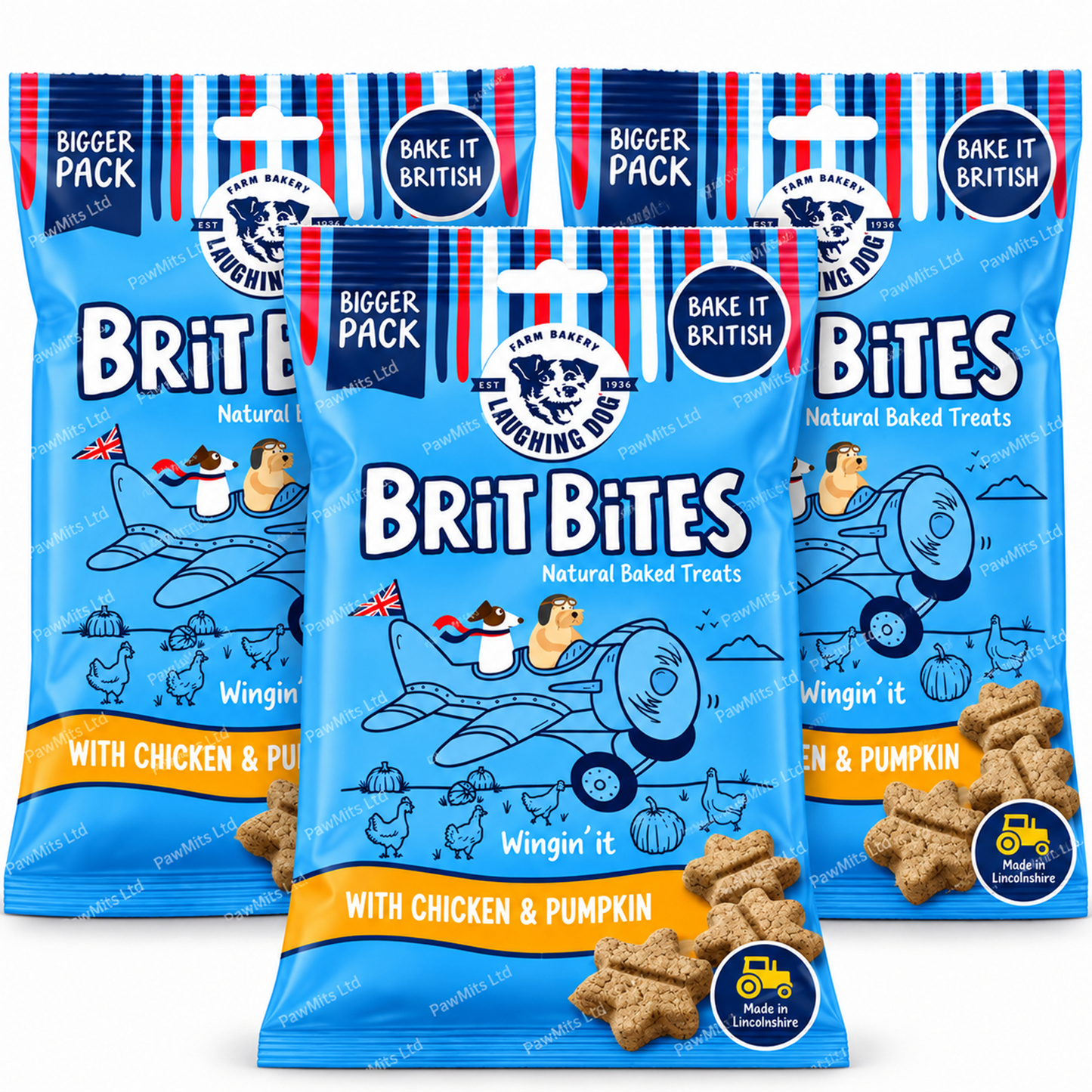 Brit Bites - Chicken & Pumpkin (175g)