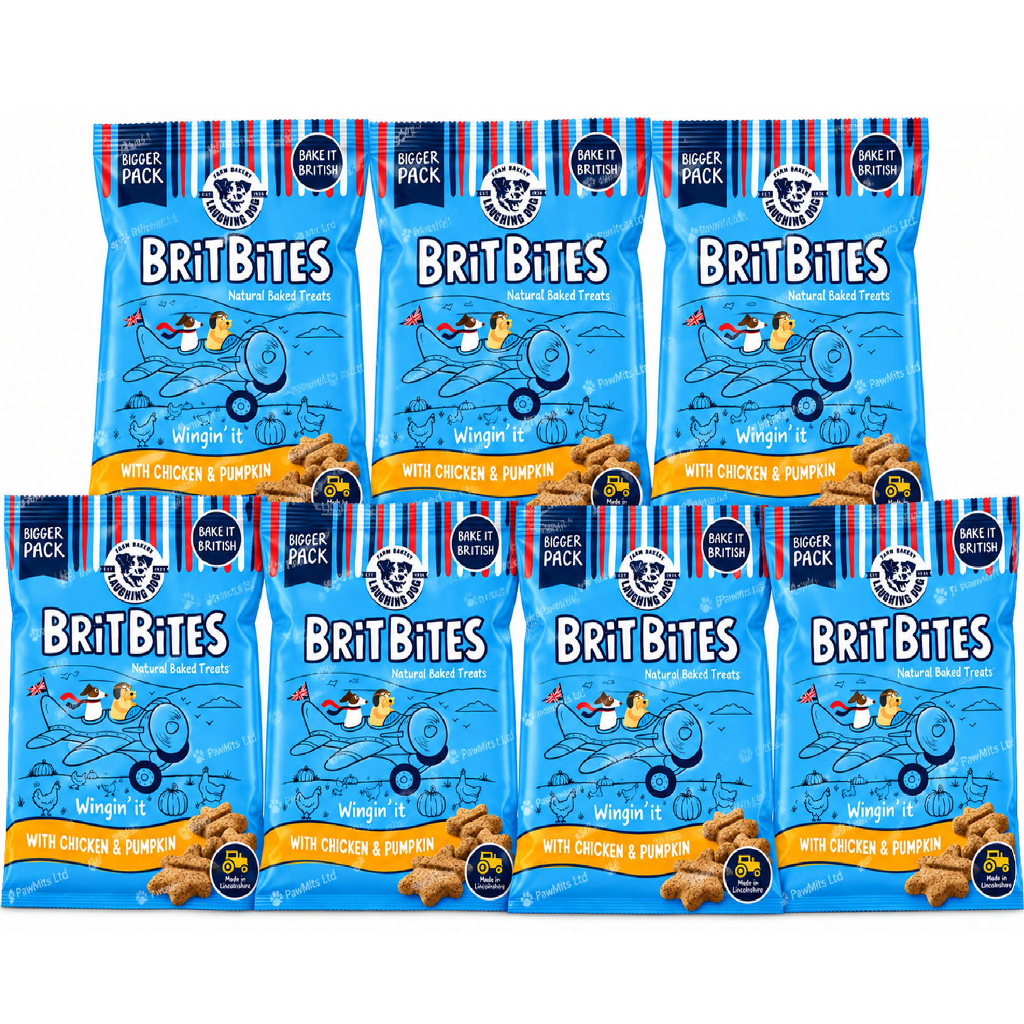 Brit Bites - Chicken & Pumpkin (175g)