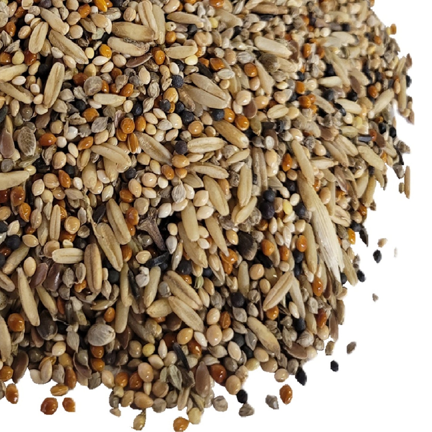 Budgie Tonic Food