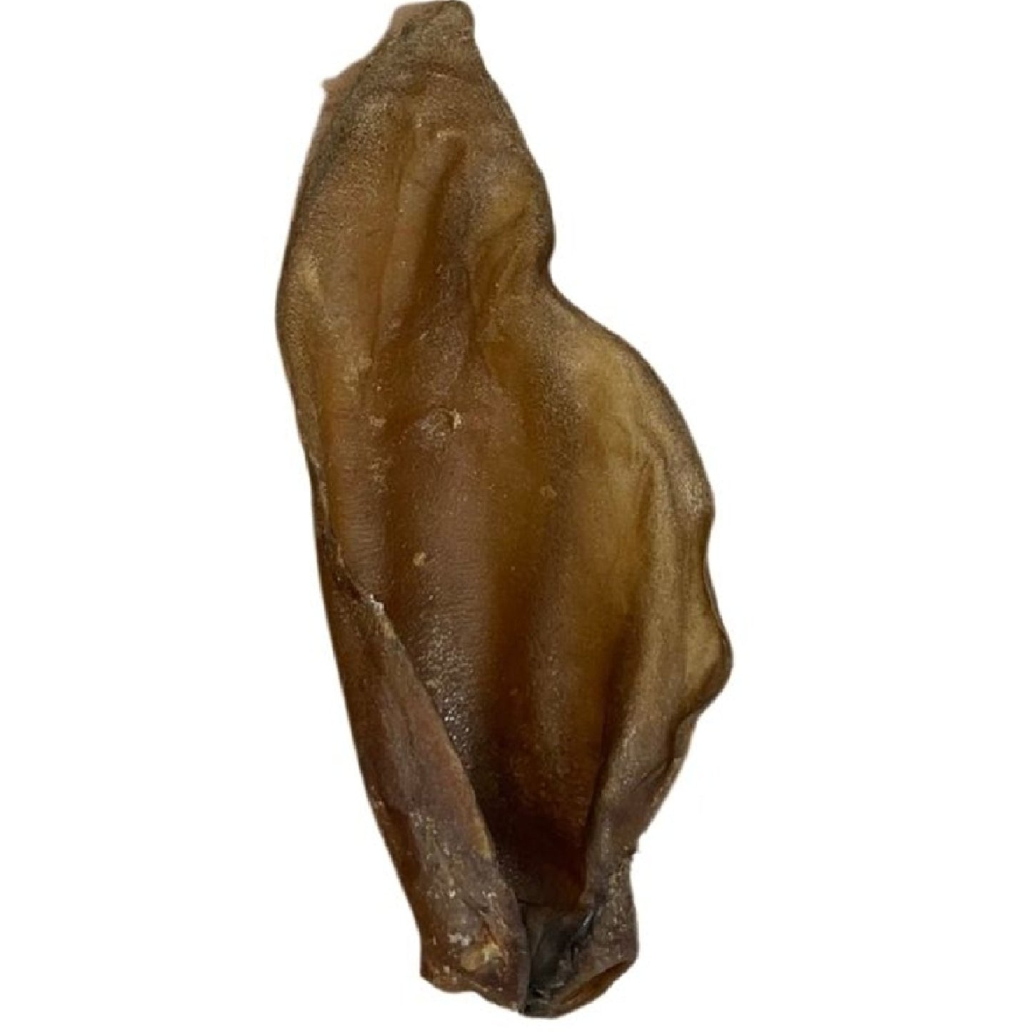 Paddock Farm - Large Buffalo Ears