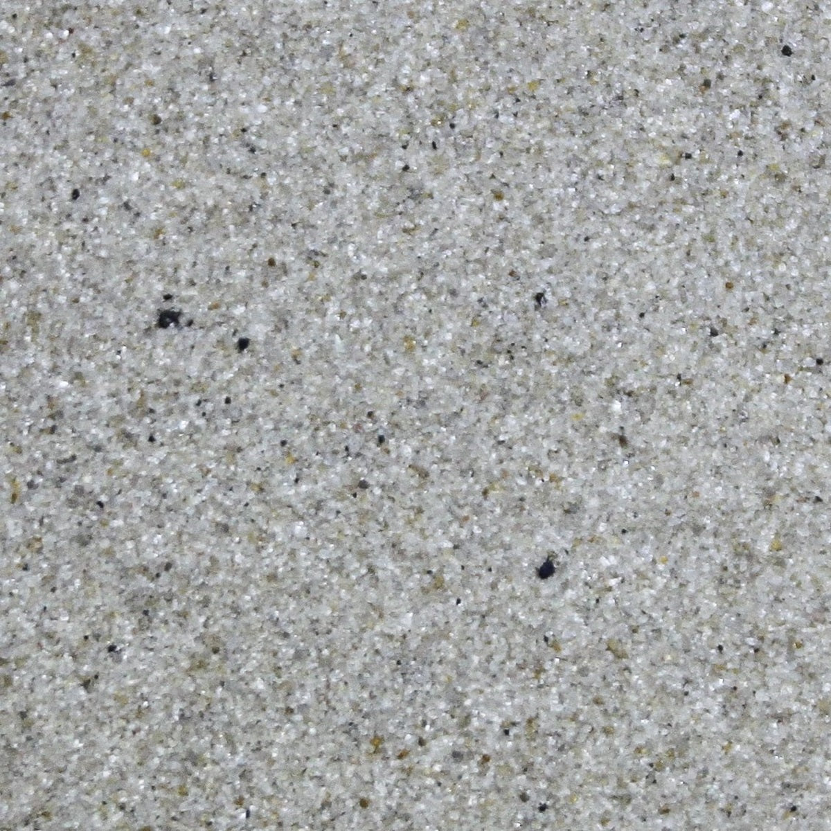 Pettex - Calci Sand Reptile Substrate (10L)