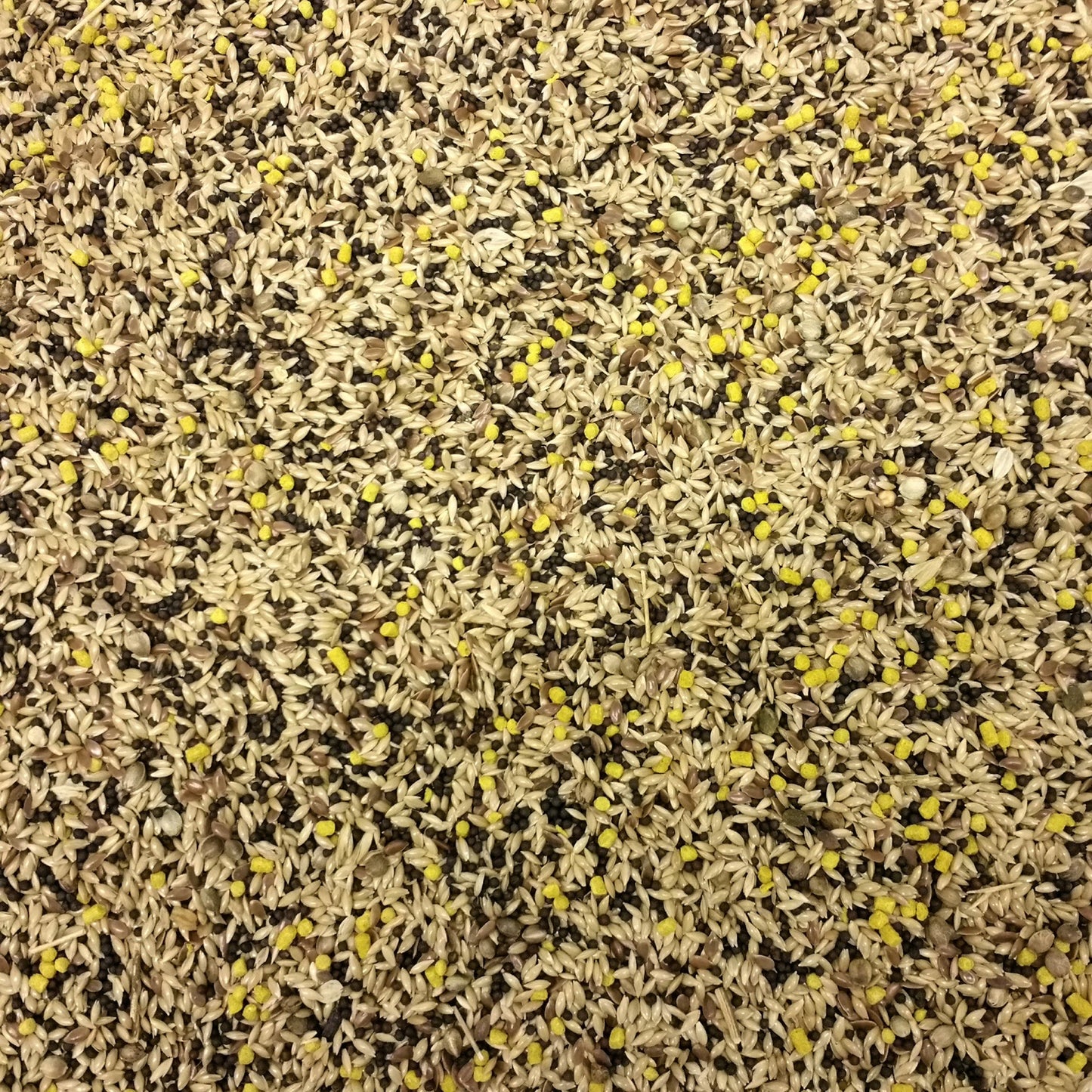 BestPets - Mixed Canary Seed (20kg)