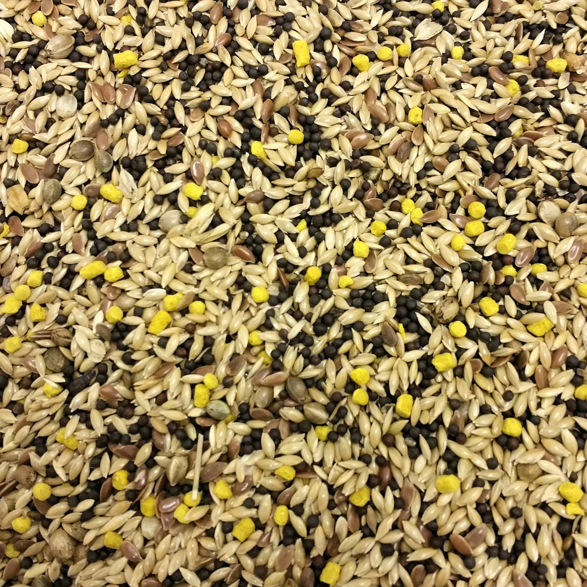 BestPets - Mixed Canary Seed