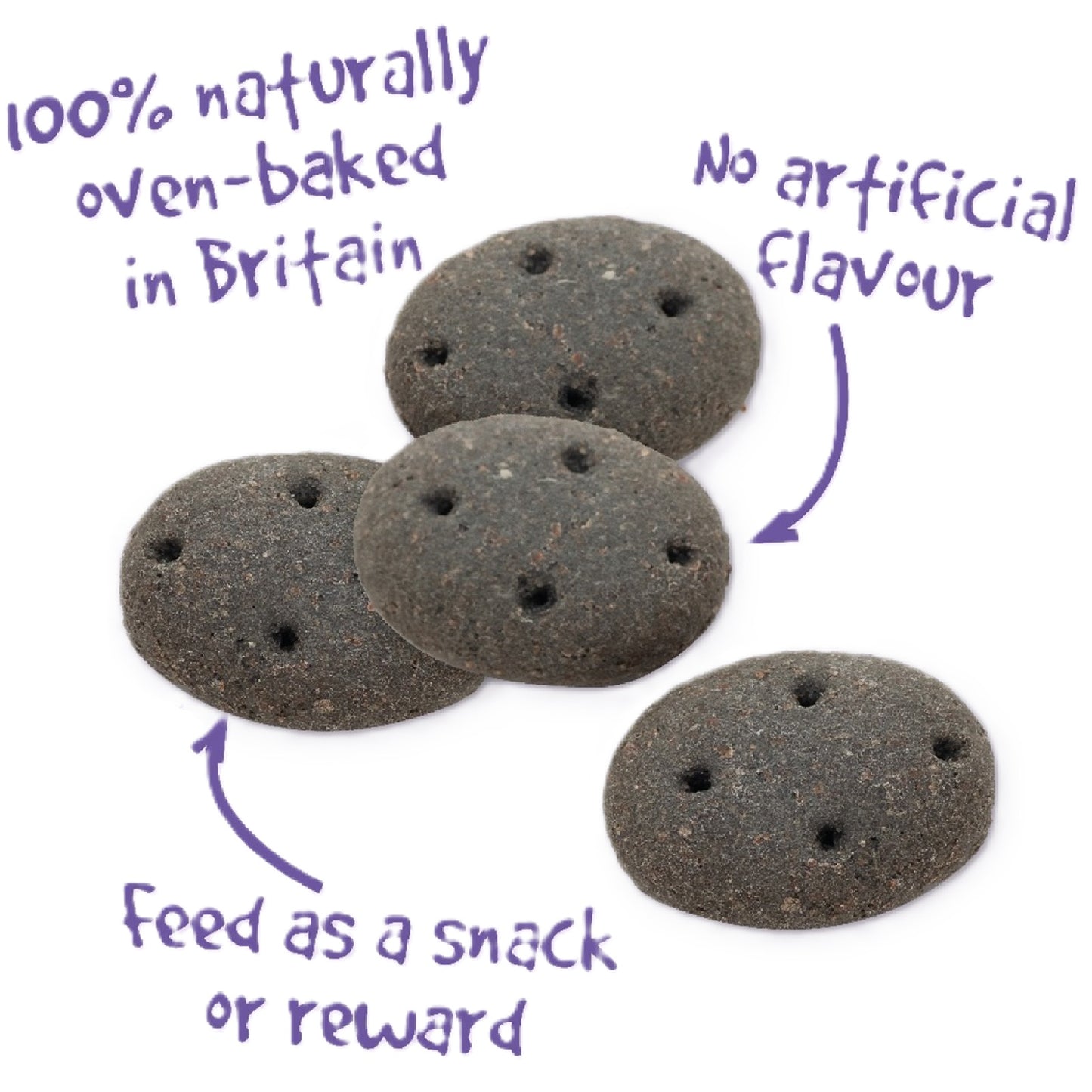 Pointer - Charcoal Cobs