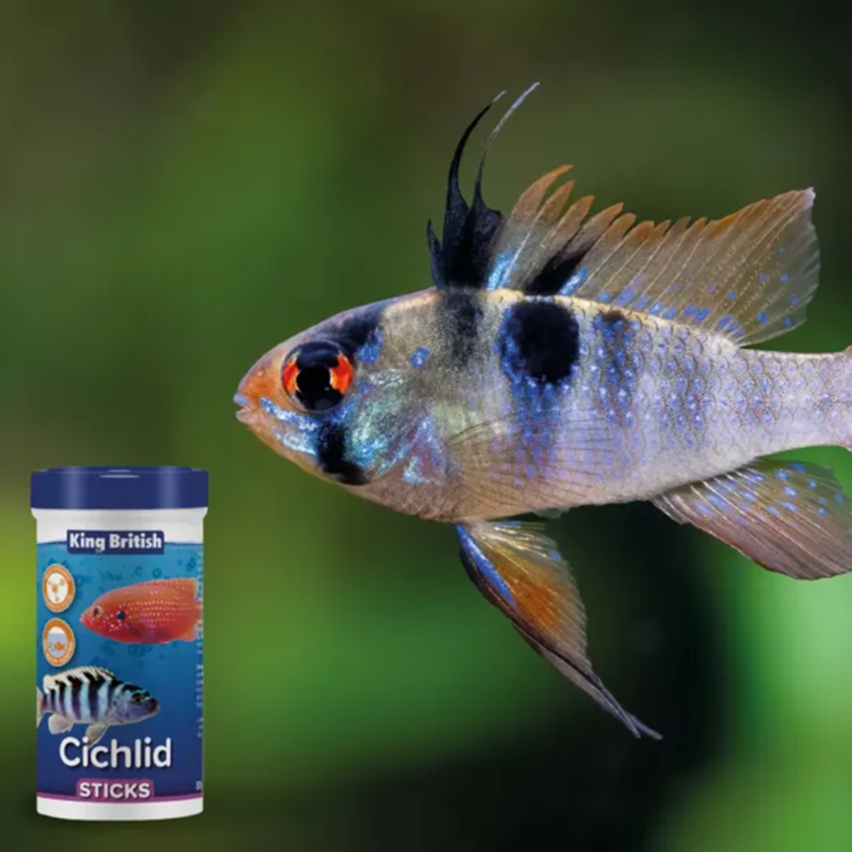 King British - Cichlid Floating Sticks (100g)