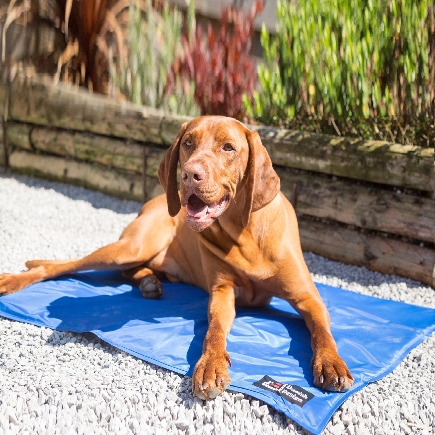 Danish Design - Cooling Mattress