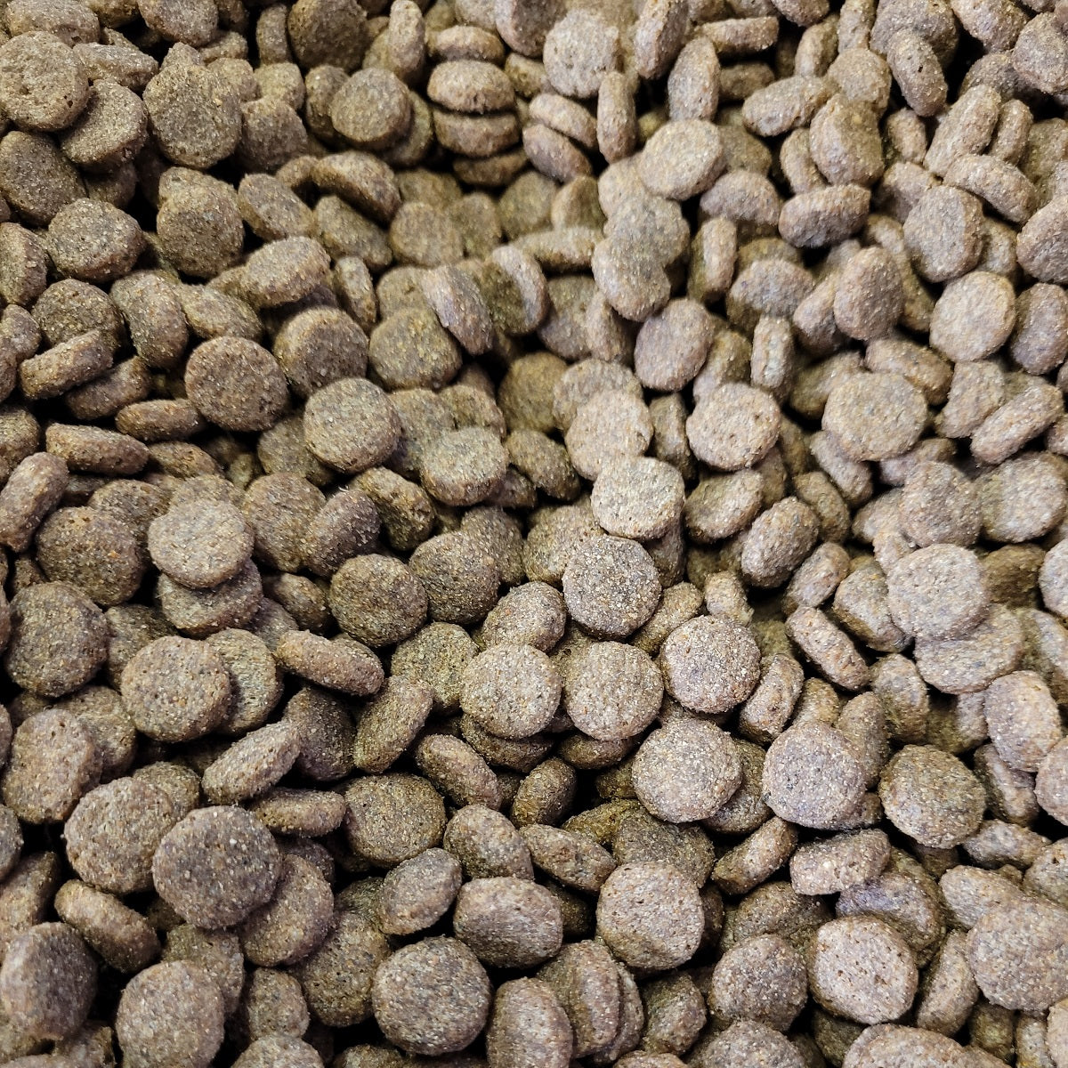 Country Values - Greyhound (12.5kg)