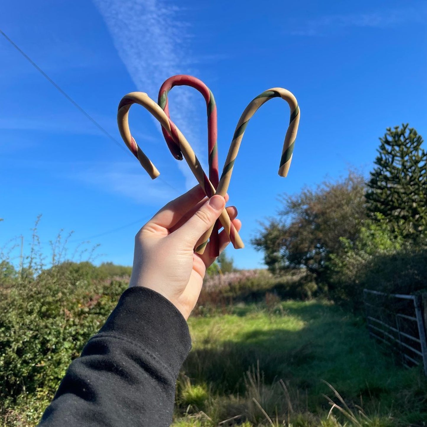 Antos - Candy Canes