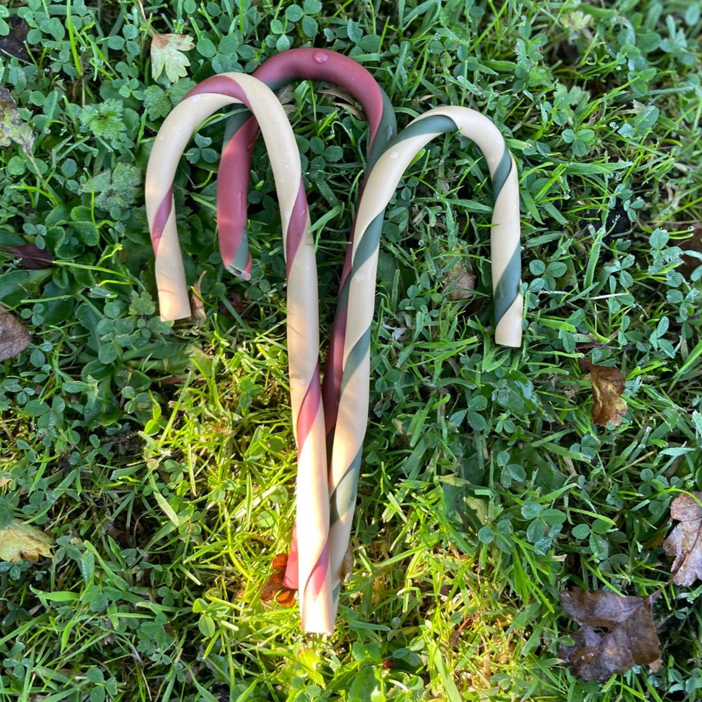 Antos - Candy Canes