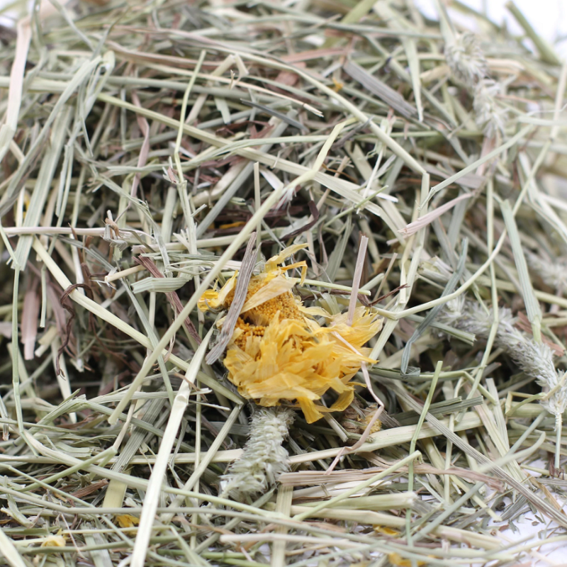 Excel - Dandelion and Marigold Feeding Hay