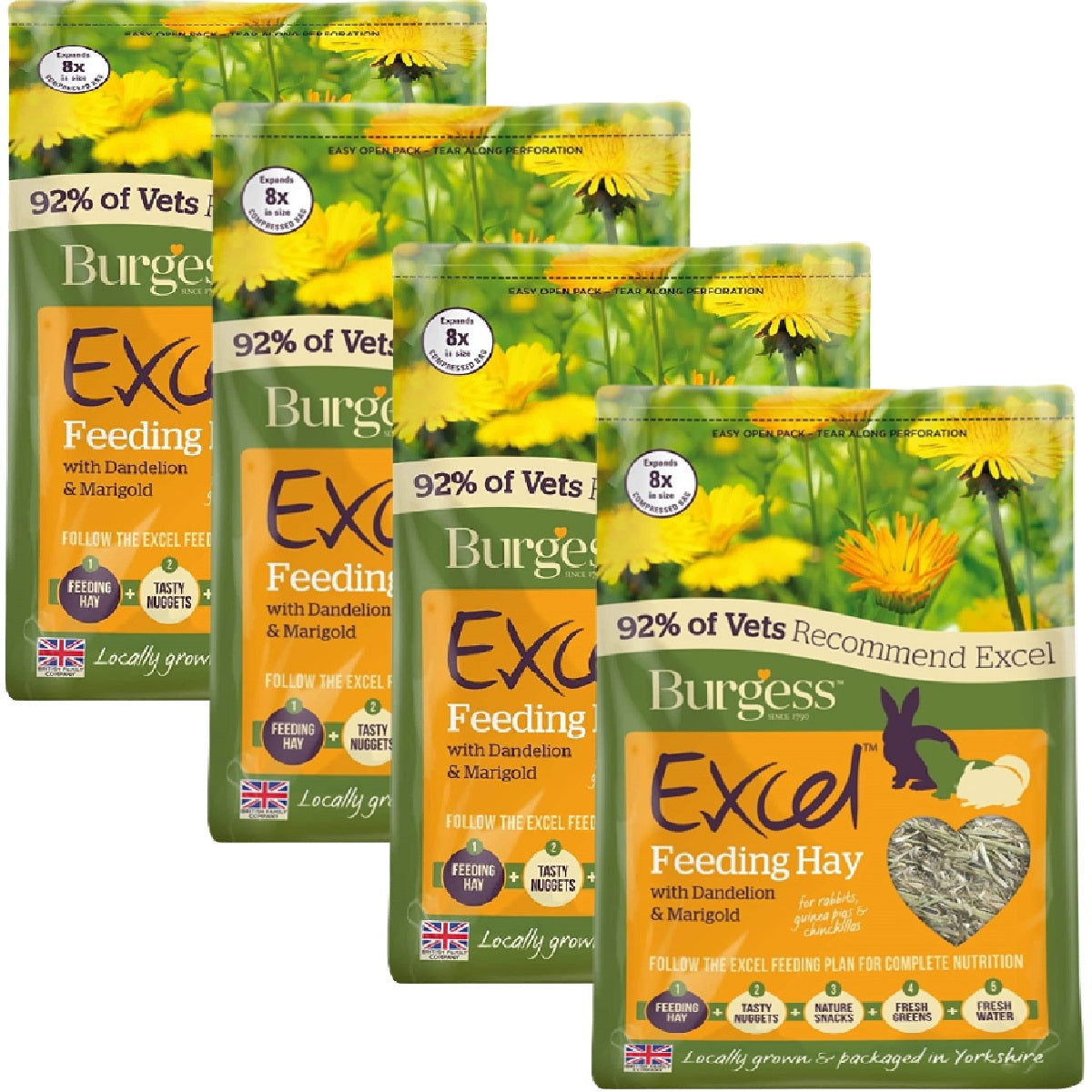 Excel - Dandelion and Marigold Feeding Hay