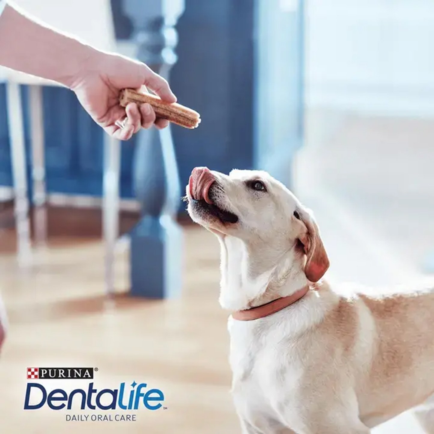 Purina - DentaLife Large Dog Dental Chews