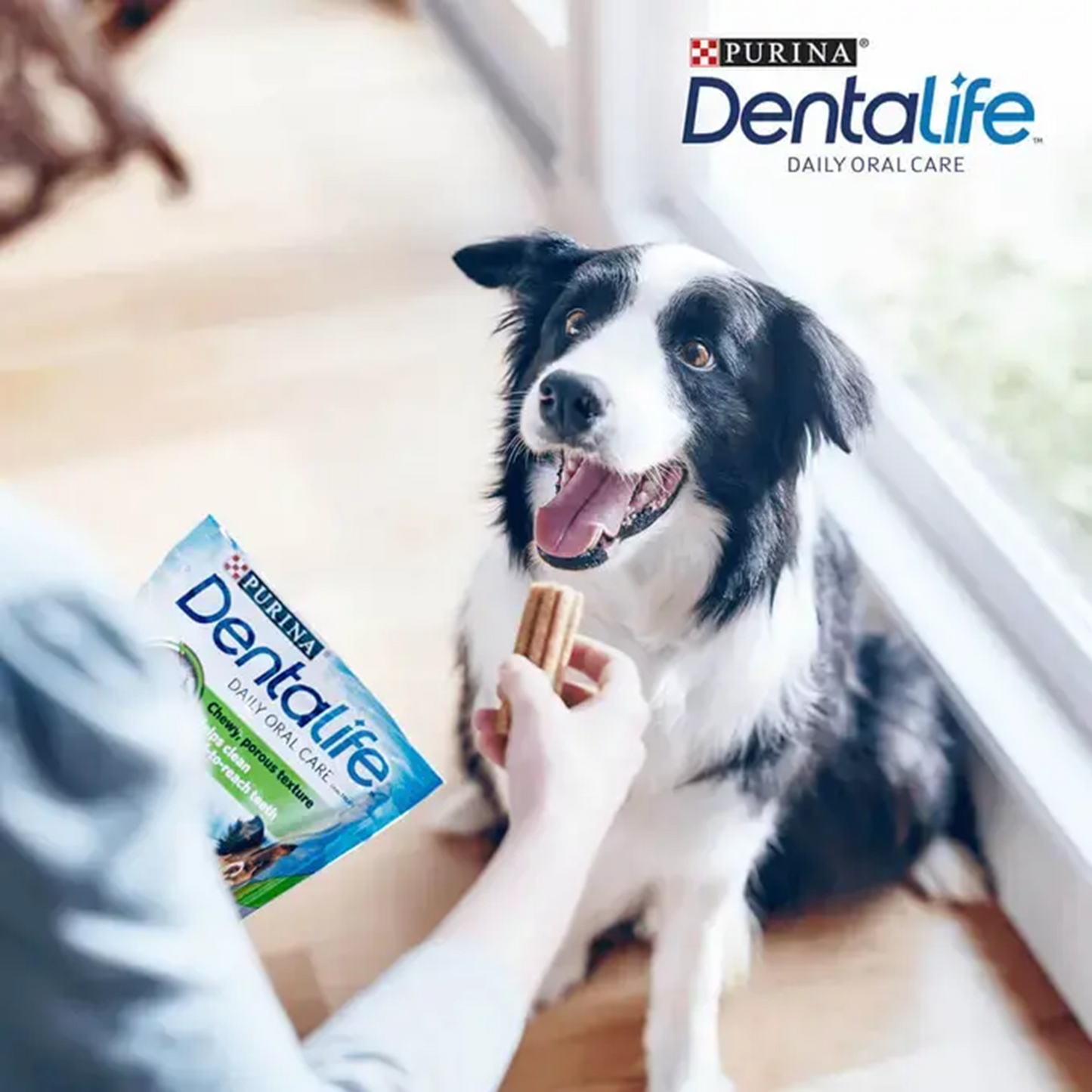 Purina - Dentalife Medium Dog Dental Chews