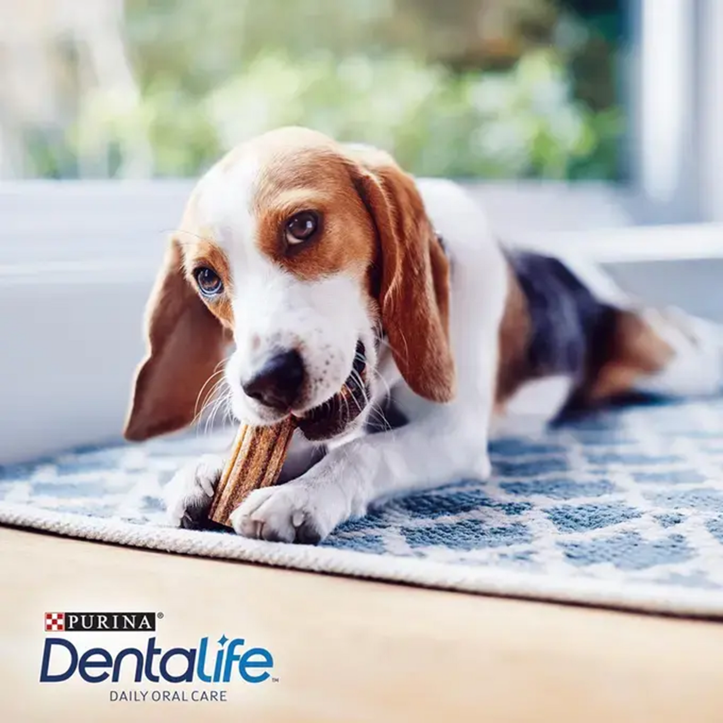 Purina - Dentalife Small Dog Dental Chews
