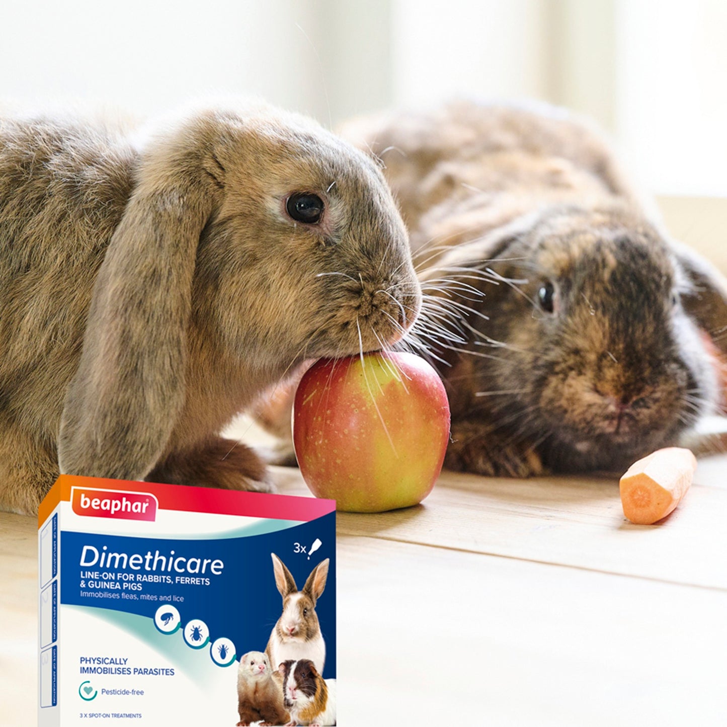 Beaphar - Animal Dimethicare Line-On (3pk)