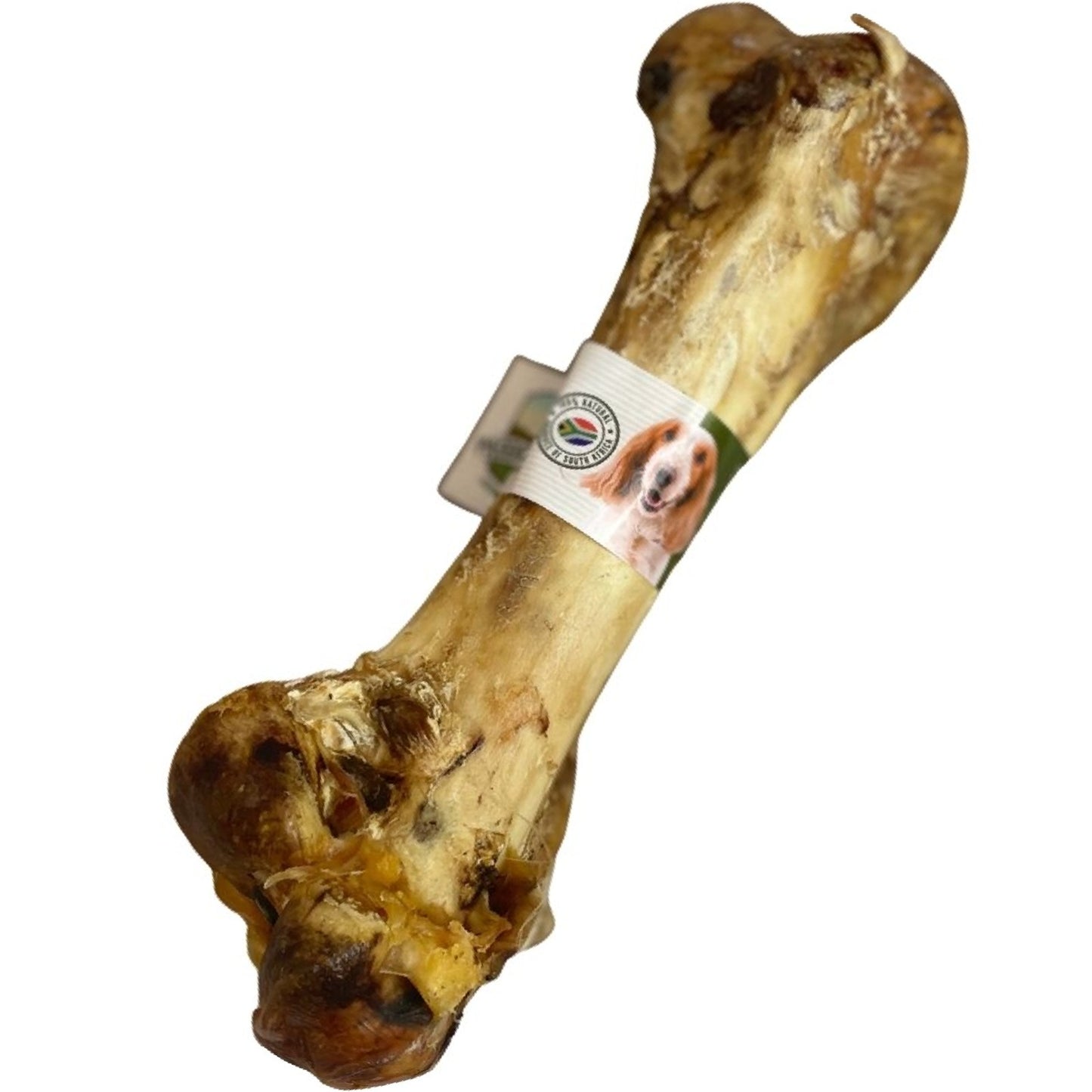Paddock Farm - Ostrich Dino Bone