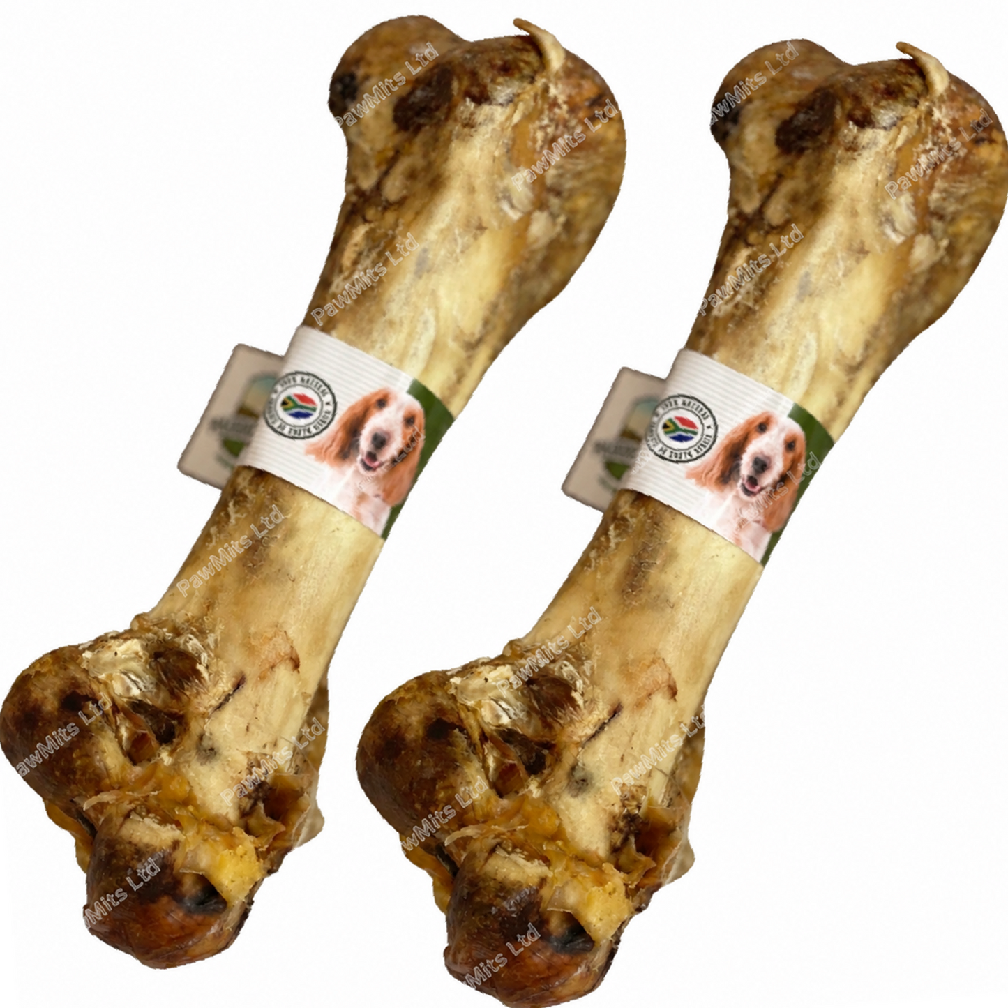 Paddock Farm - Ostrich Dino Bone