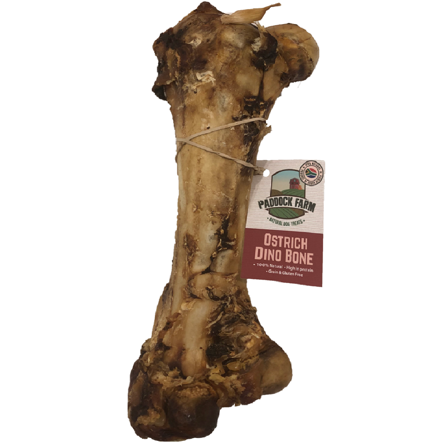 Paddock Farm - Ostrich Dino Bone