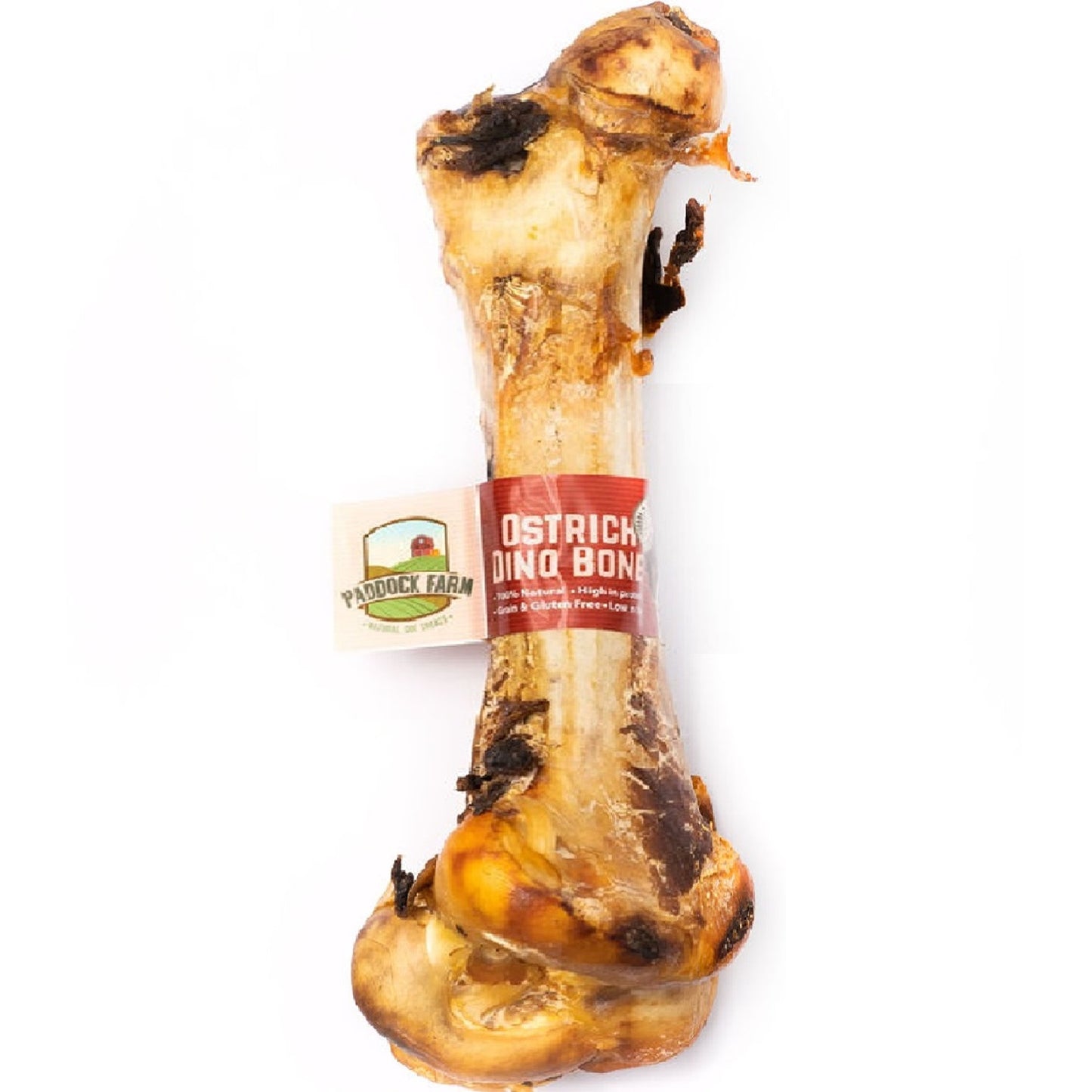 Paddock Farm - Ostrich Dino Bone