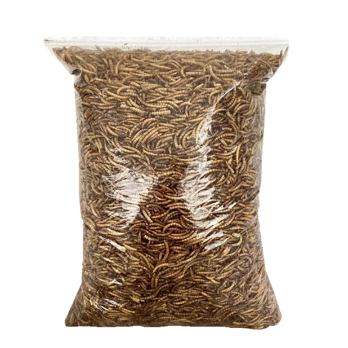 Dried Mealworms