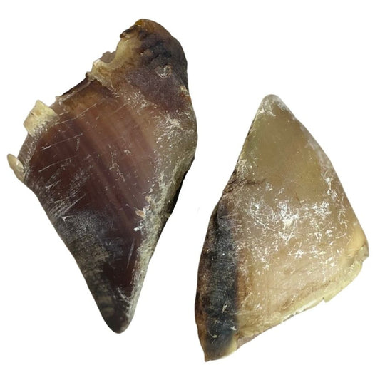 Paddock Farm - Empty Hooves