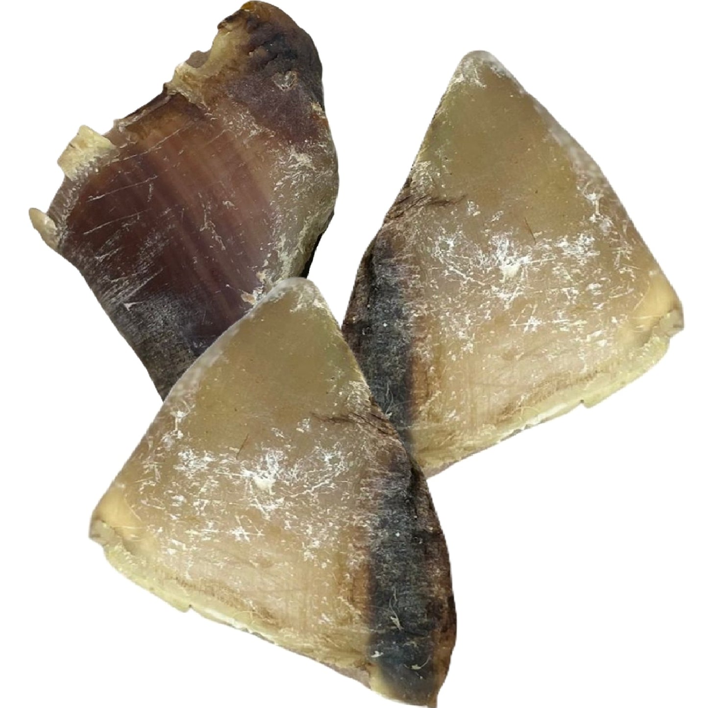 Paddock Farm - Empty Hooves