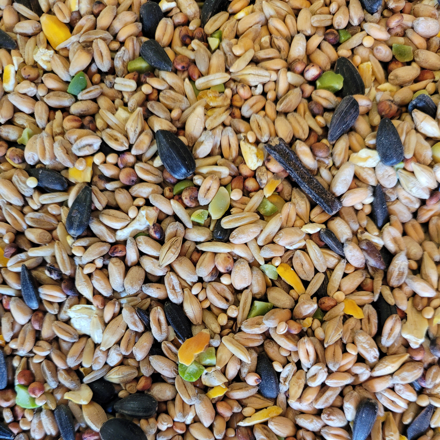 PawMits - Wild Bird Seed