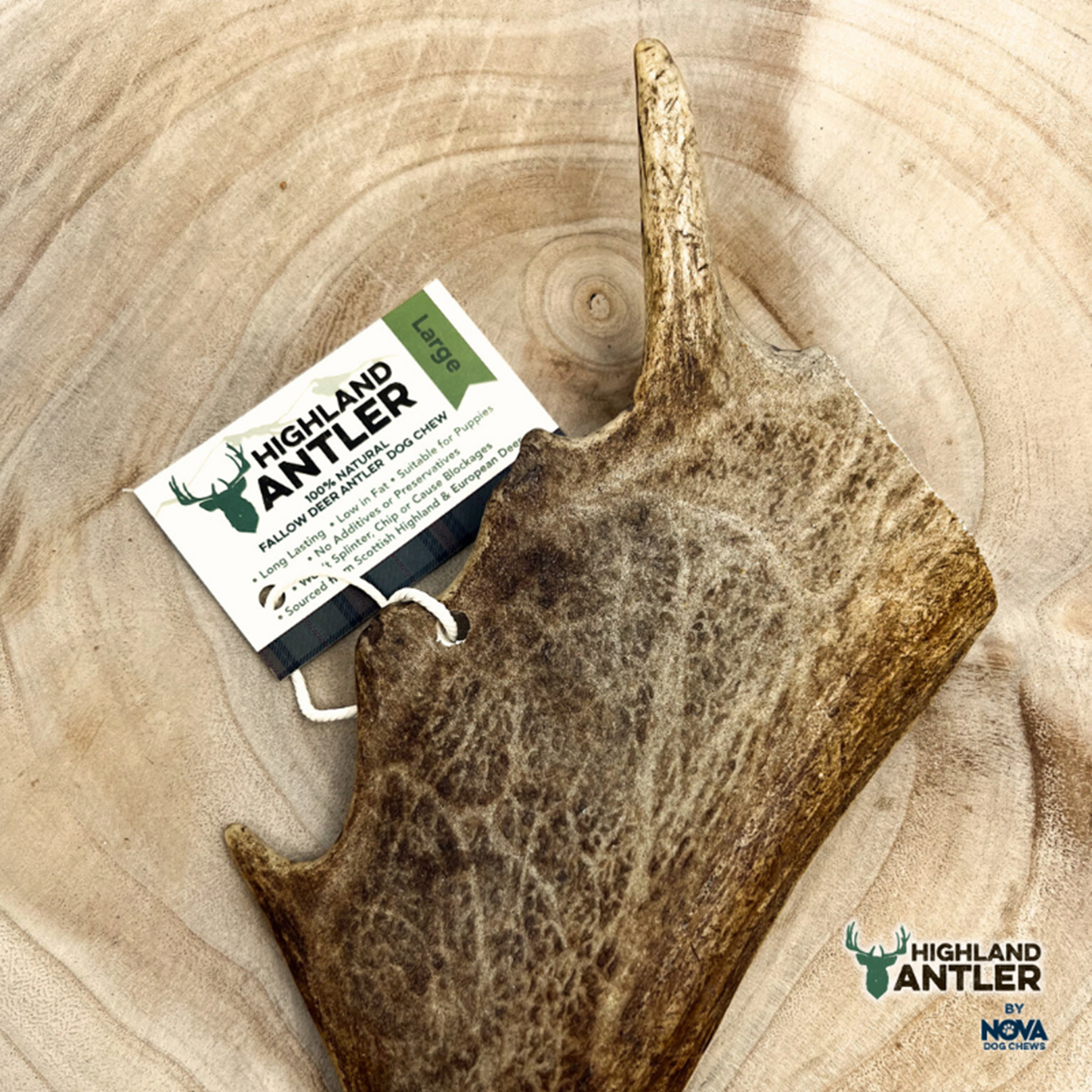Highland Antler - Fallow