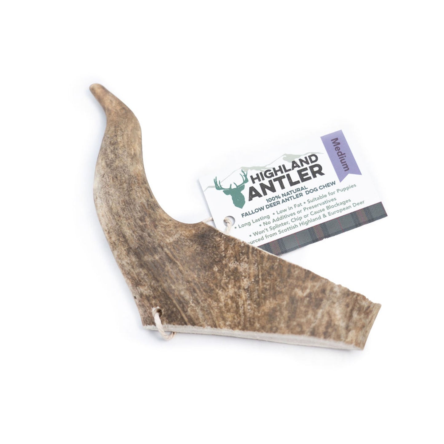 Highland Antler - Fallow