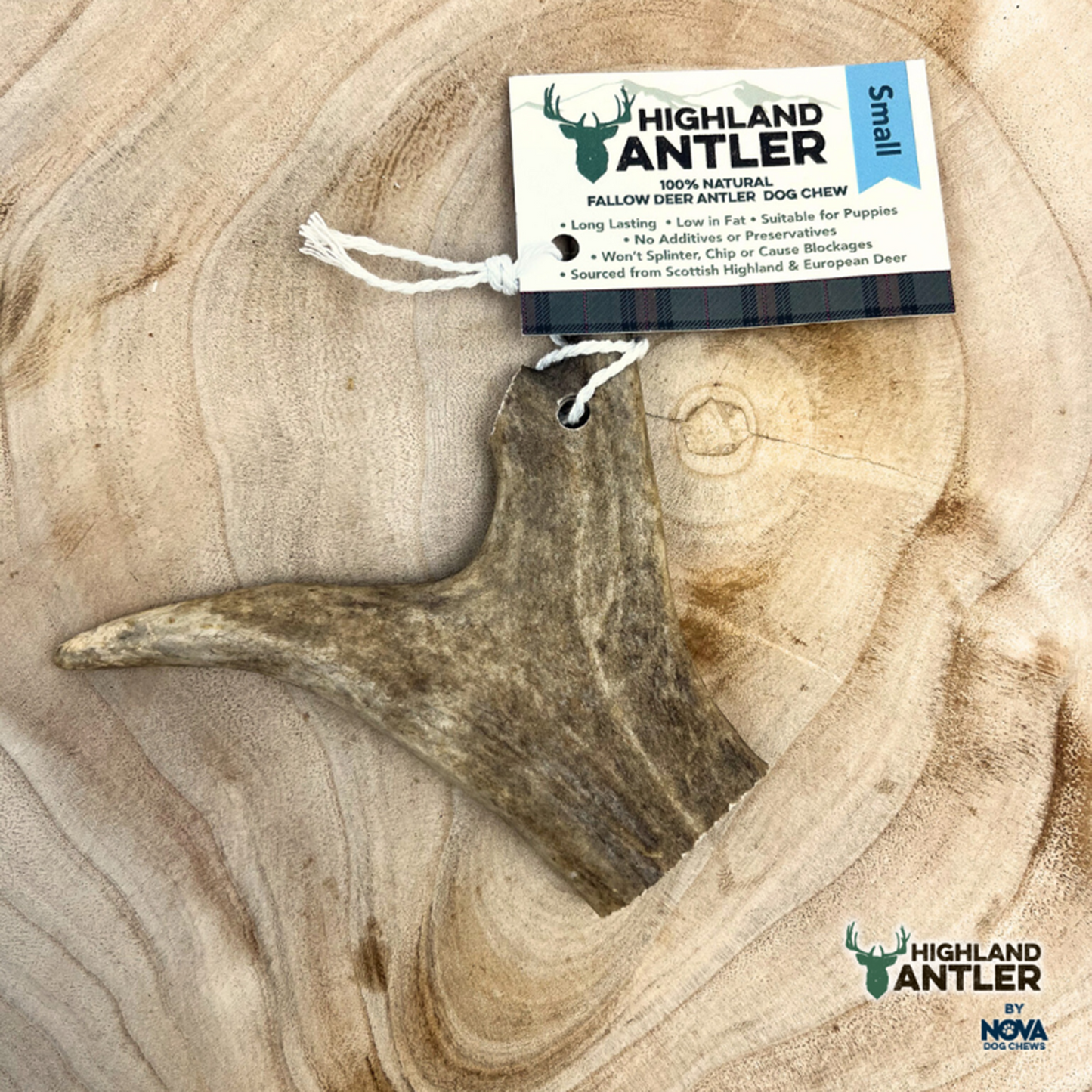 Highland Antler - Fallow
