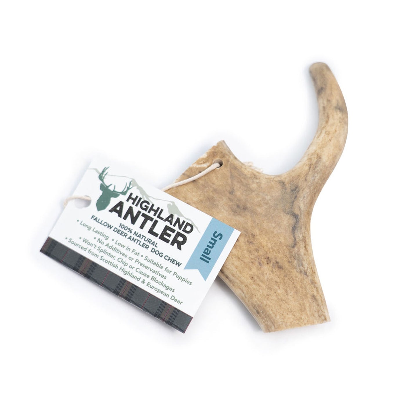 Highland Antler - Fallow