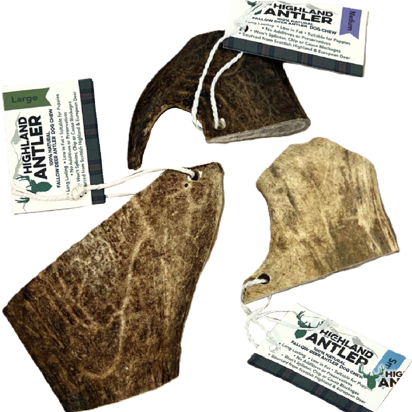 Highland Antler - Fallow