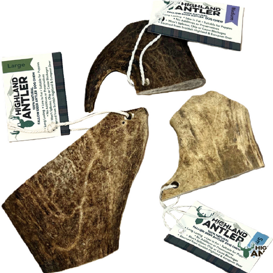Highland Antler - Fallow