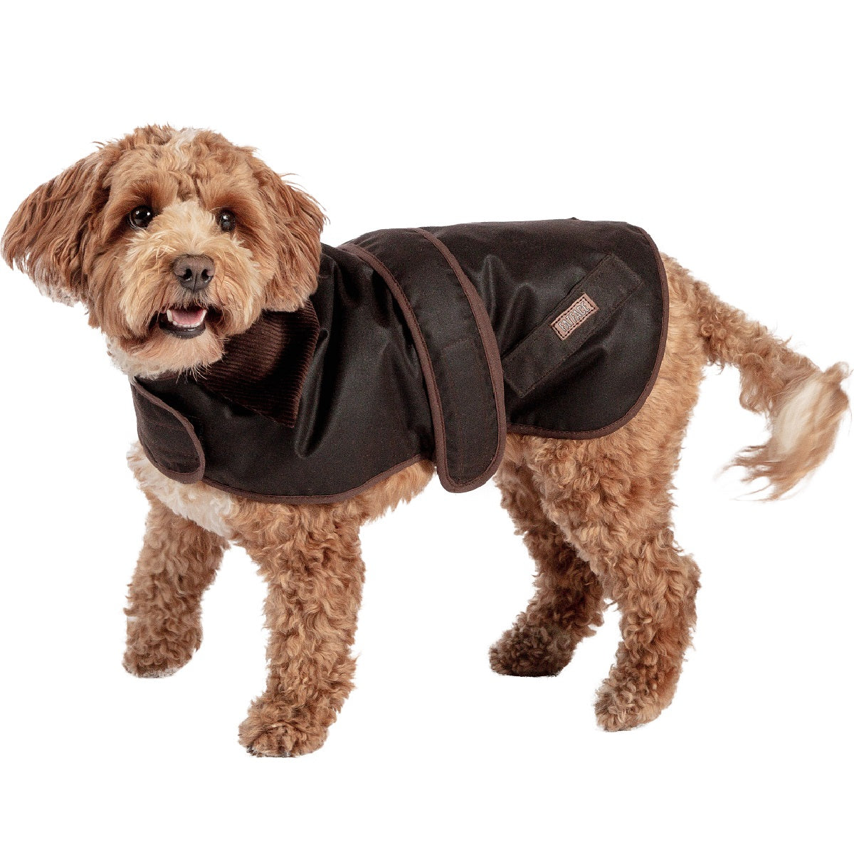 FATFACE - Sussex Wax Dog Coat